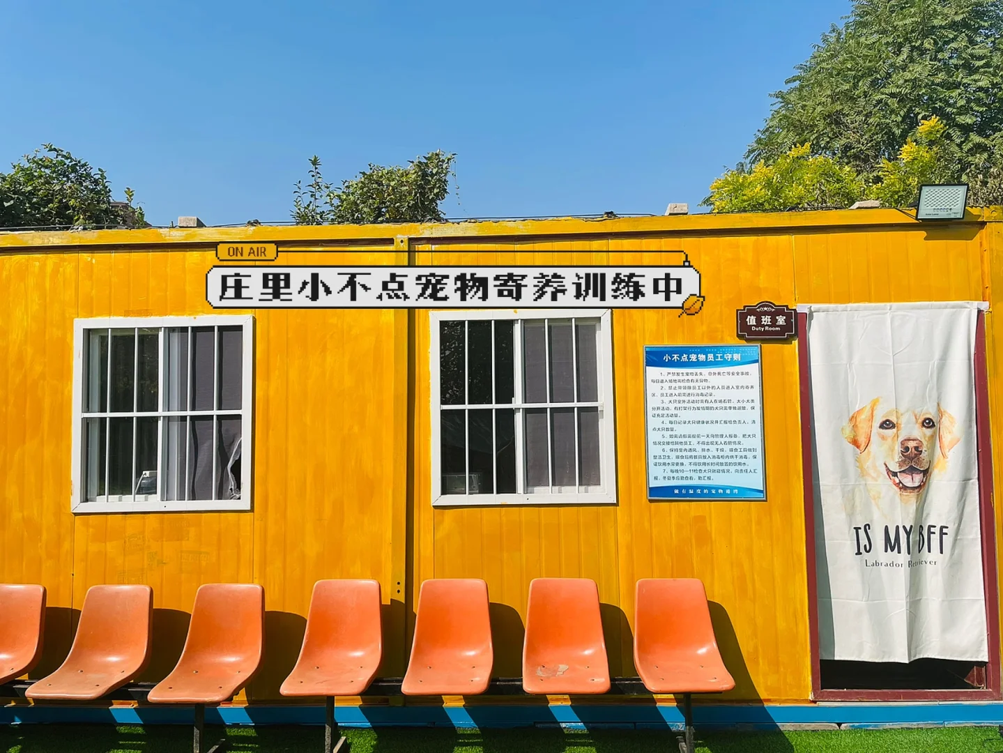 宠物饲养手机游戏_饲养宠物的游戏_饲养宠物的手游