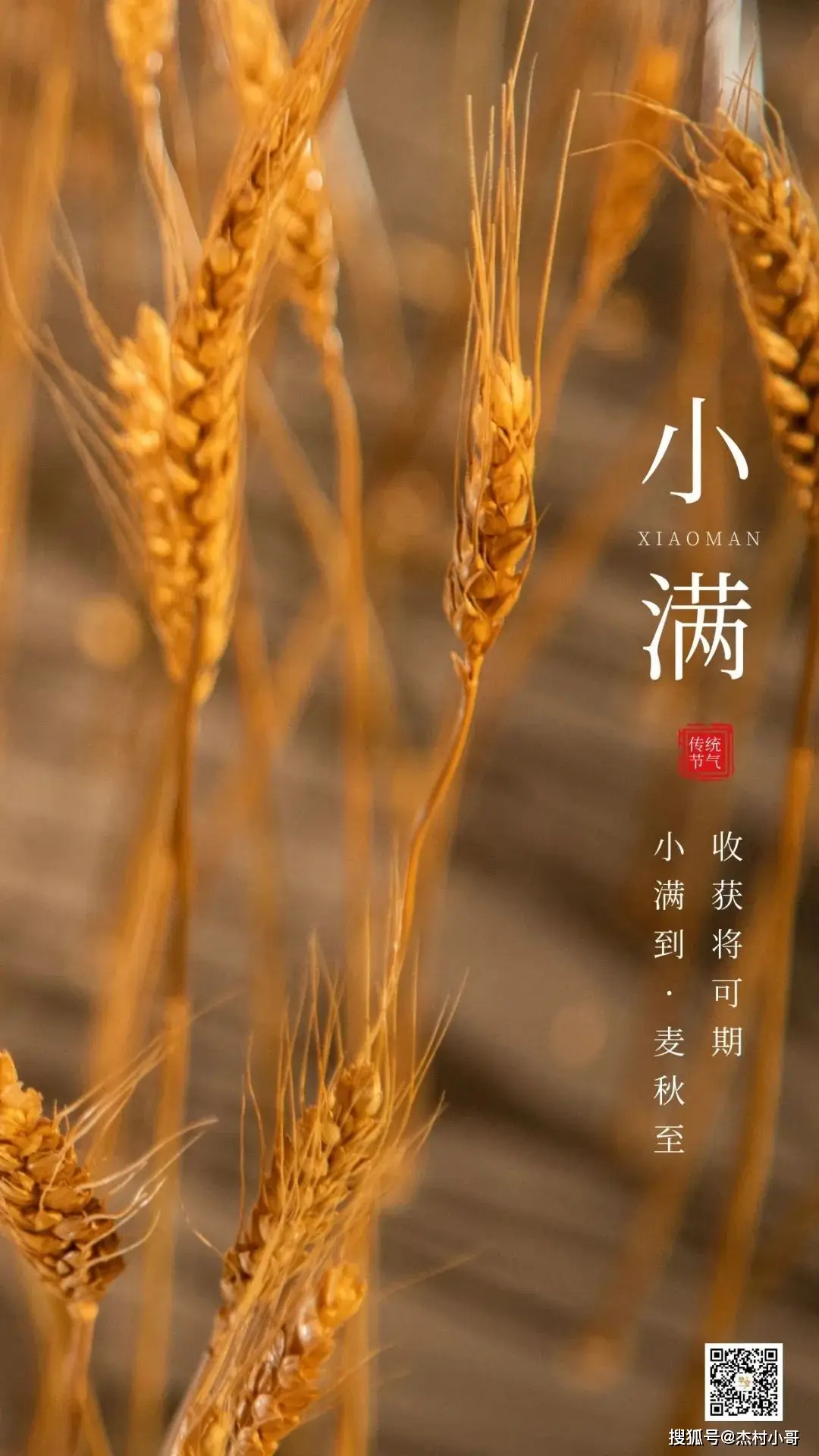 节气小满的来历_节气有小满没大满吗_小满之后的下一个节气