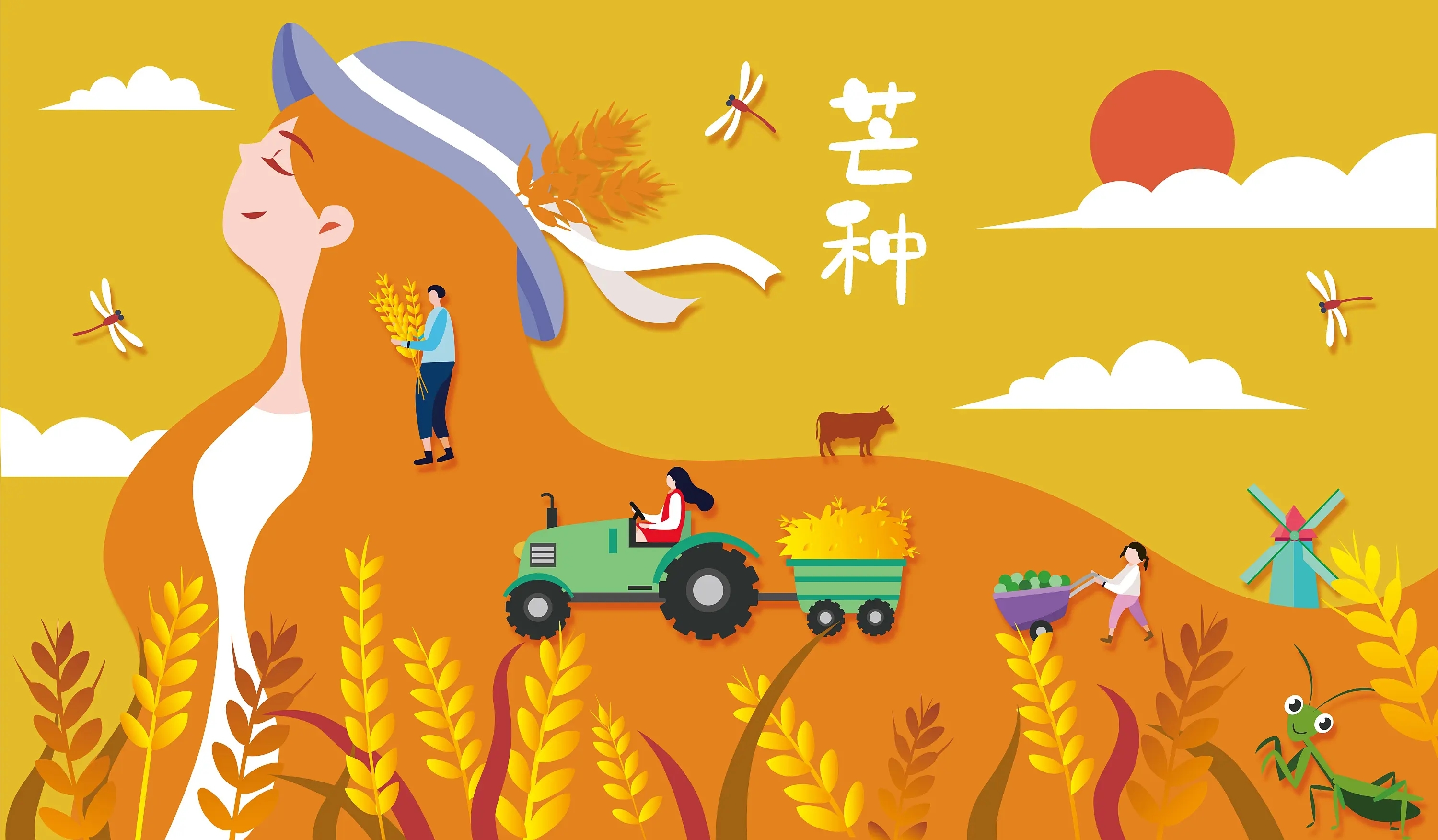 节气有小满没大满吗_小满之后的下一个节气_节气小满的来历