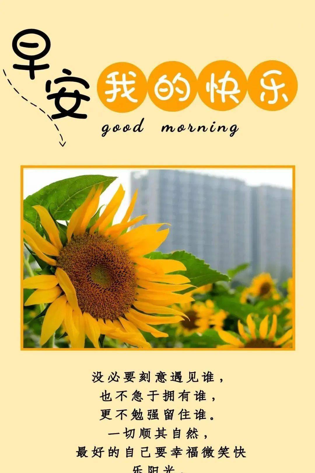小刀娱乐科技网_小刀娱乐技术网官网_小刀娱乐