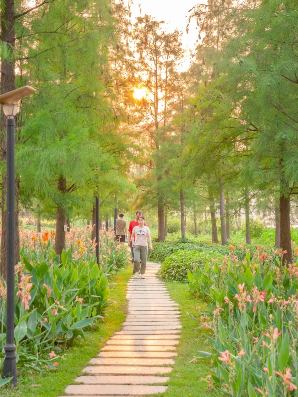 初三玩游戏好吗_初三打游戏_大年初三玩手机游戏