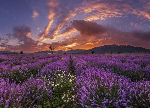 微信聊天禁用表情_禁用表情微信包怎么设置_微信禁用表情包