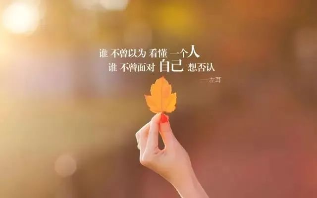 检测微信好友删除自己的软件_微信好友删除测试软件_微信好友删除检测手机软件