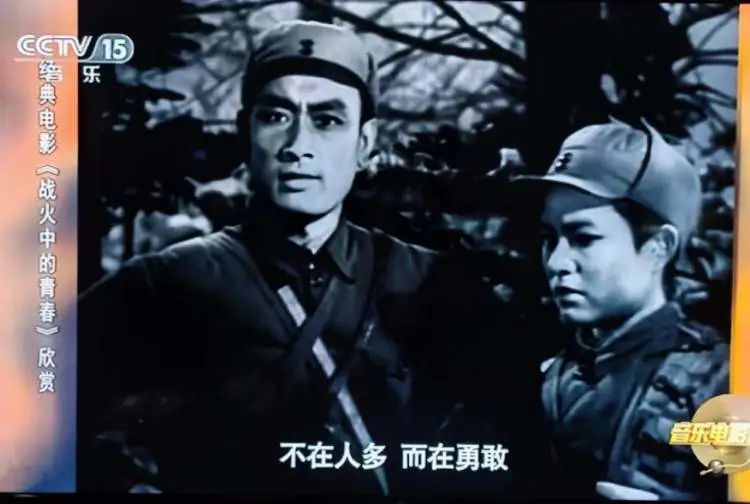青春战火演员表_战火中青春电视剧_电视战火剧青春中的女主角