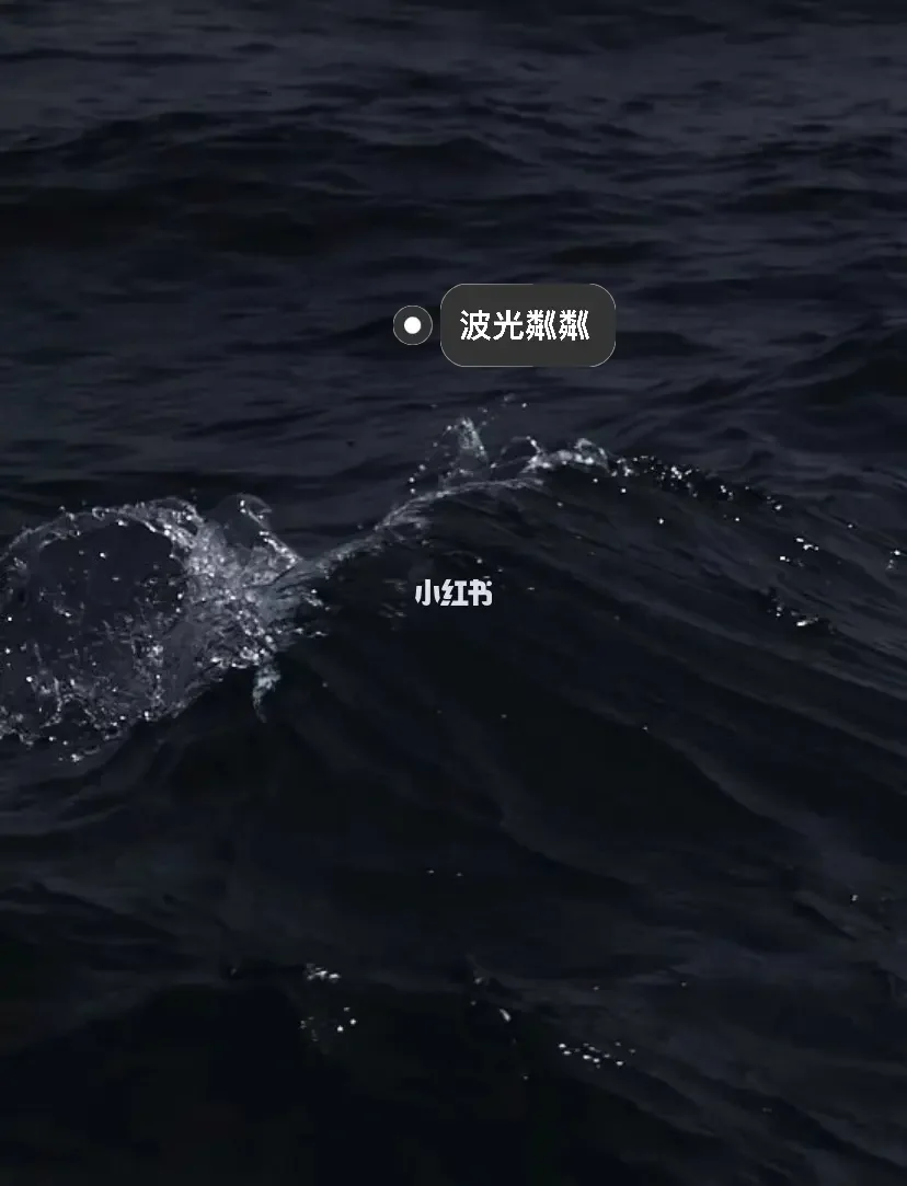海天洪水_洪海天_海天洪君佩