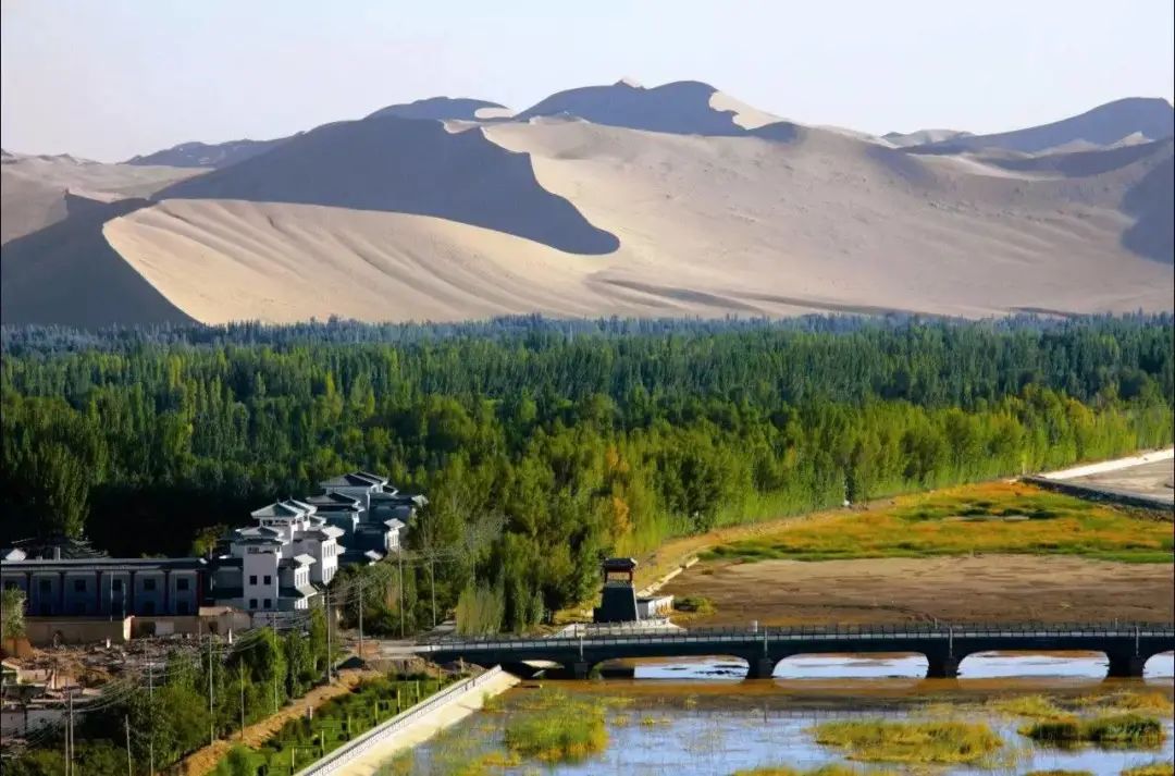 古贺葵_古贺葵_古贺葵