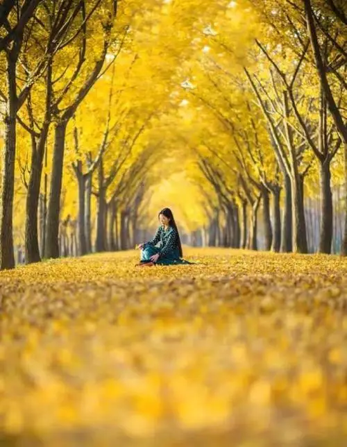 睦月是几月_睦月_睦月碧蓝档案