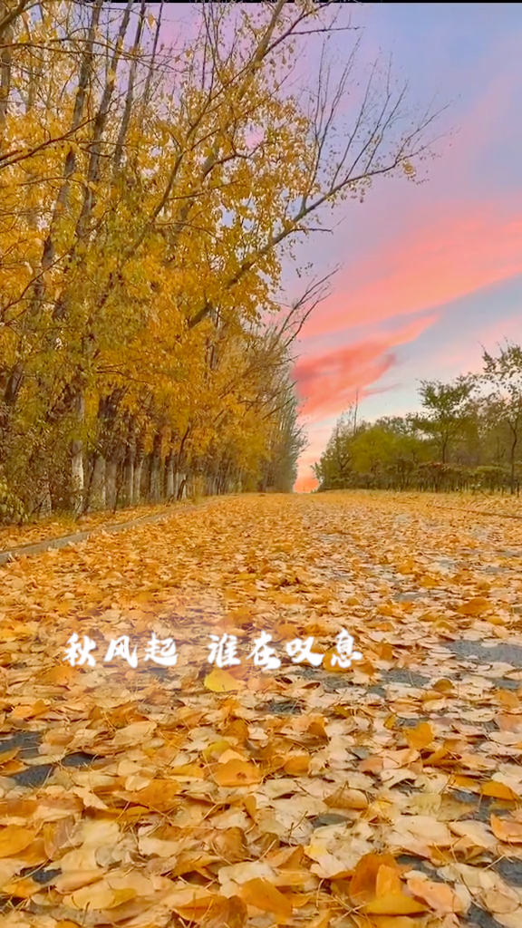 睦月碧蓝档案_睦月_睦月是几月