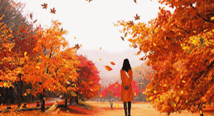 睦月_睦月碧蓝档案_睦月是几月