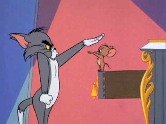 西泽雫_妹岛和世与西泽立卫_西泽