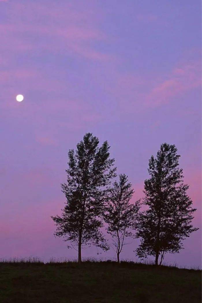 iso模拟 手机游戏_模拟手机游戏推荐_模拟手机游戏观光梯安装