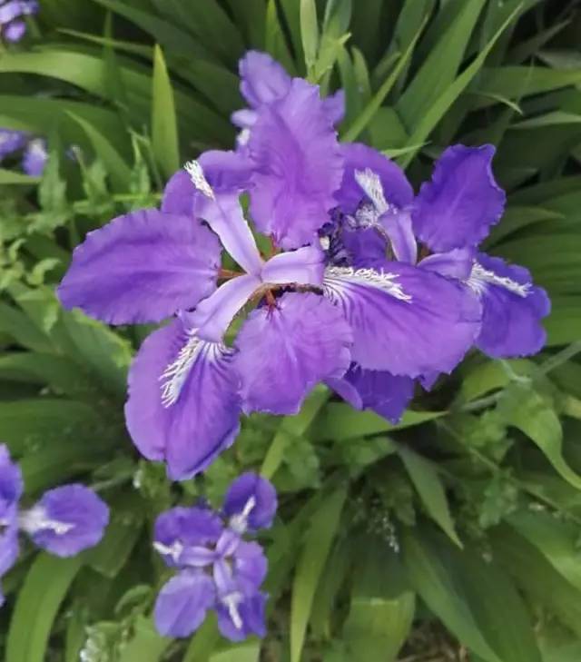 模拟手机游戏推荐_iso模拟 手机游戏_模拟手机游戏观光梯安装