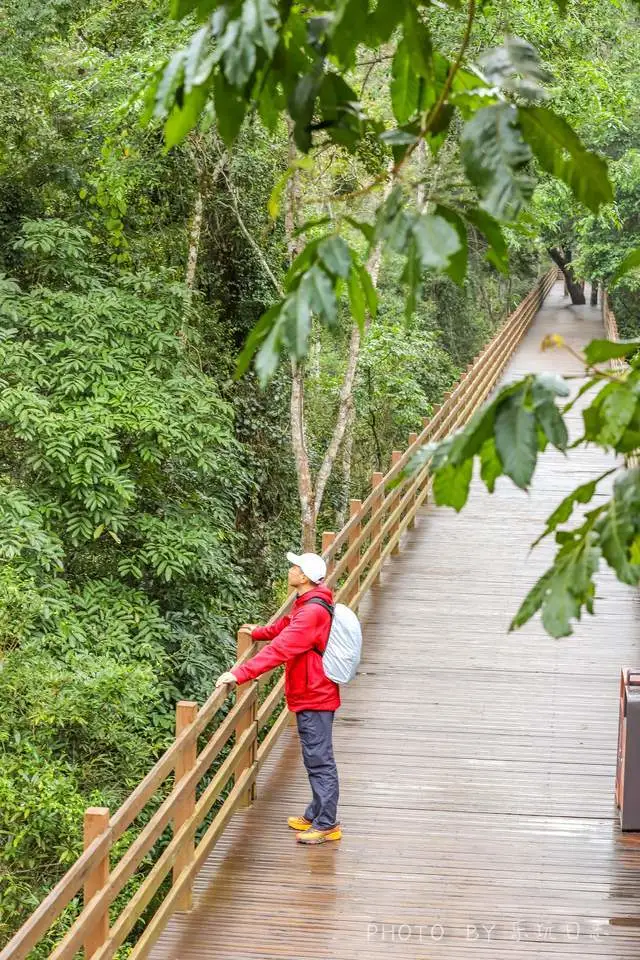 贝蒙 手机游戏_贝蒙 手机游戏_手机游戏贝蒙斯怎么玩