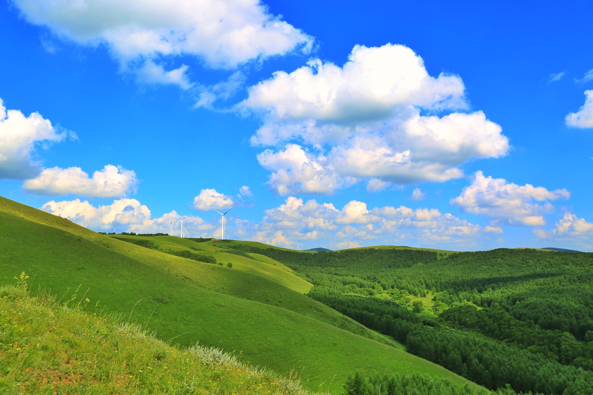 伊莉娜莎伊克的老公_绯月女神伊莉娜_伊莉娜