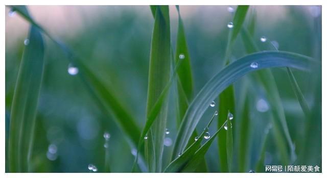 雨后表情包故事小女孩_雨后小故事表情包_qq表情包雨后的故事观看