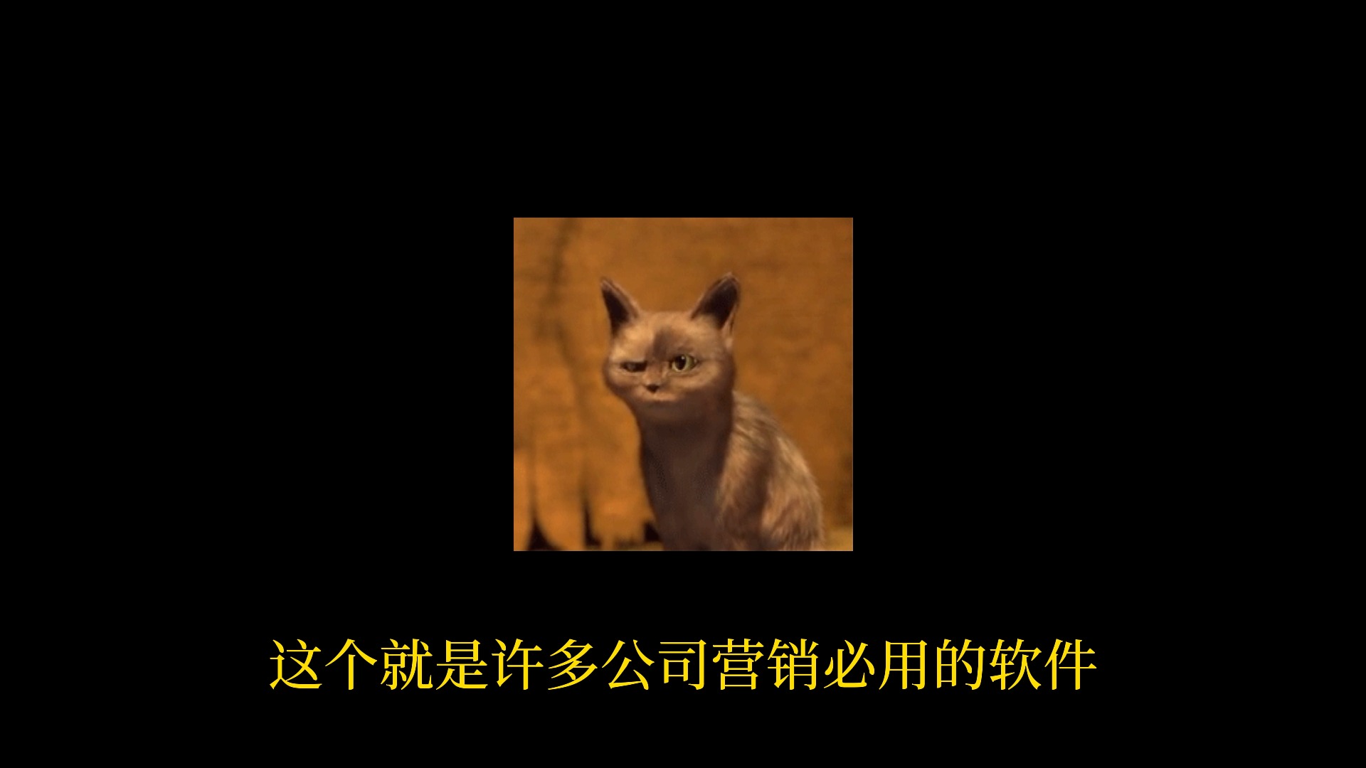 视频好看下载app_好看视频下载_下载个好看视频下载