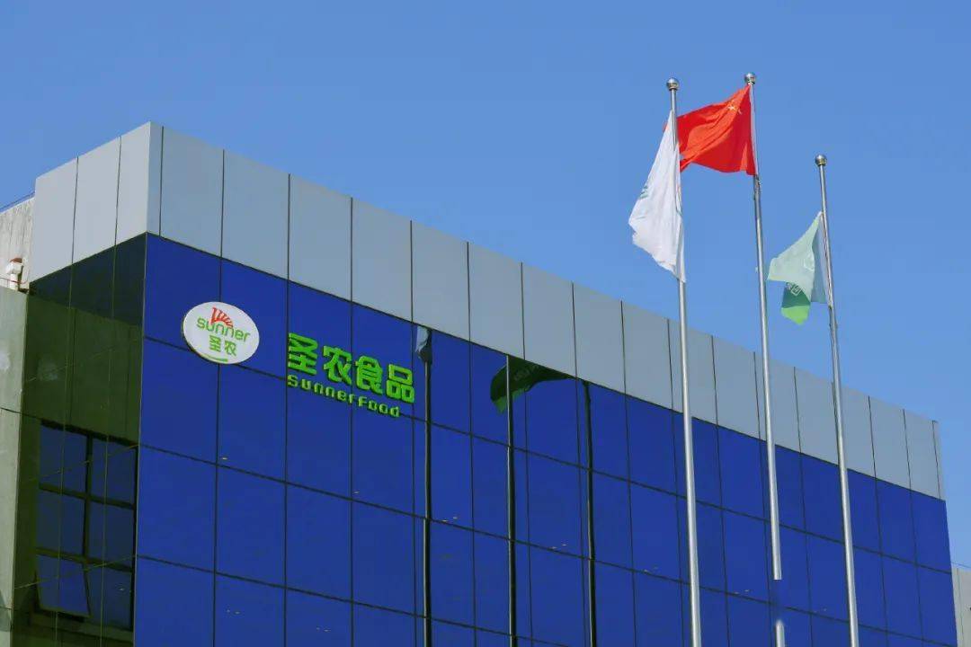 2020是什么年_2024年是年_是年20岁