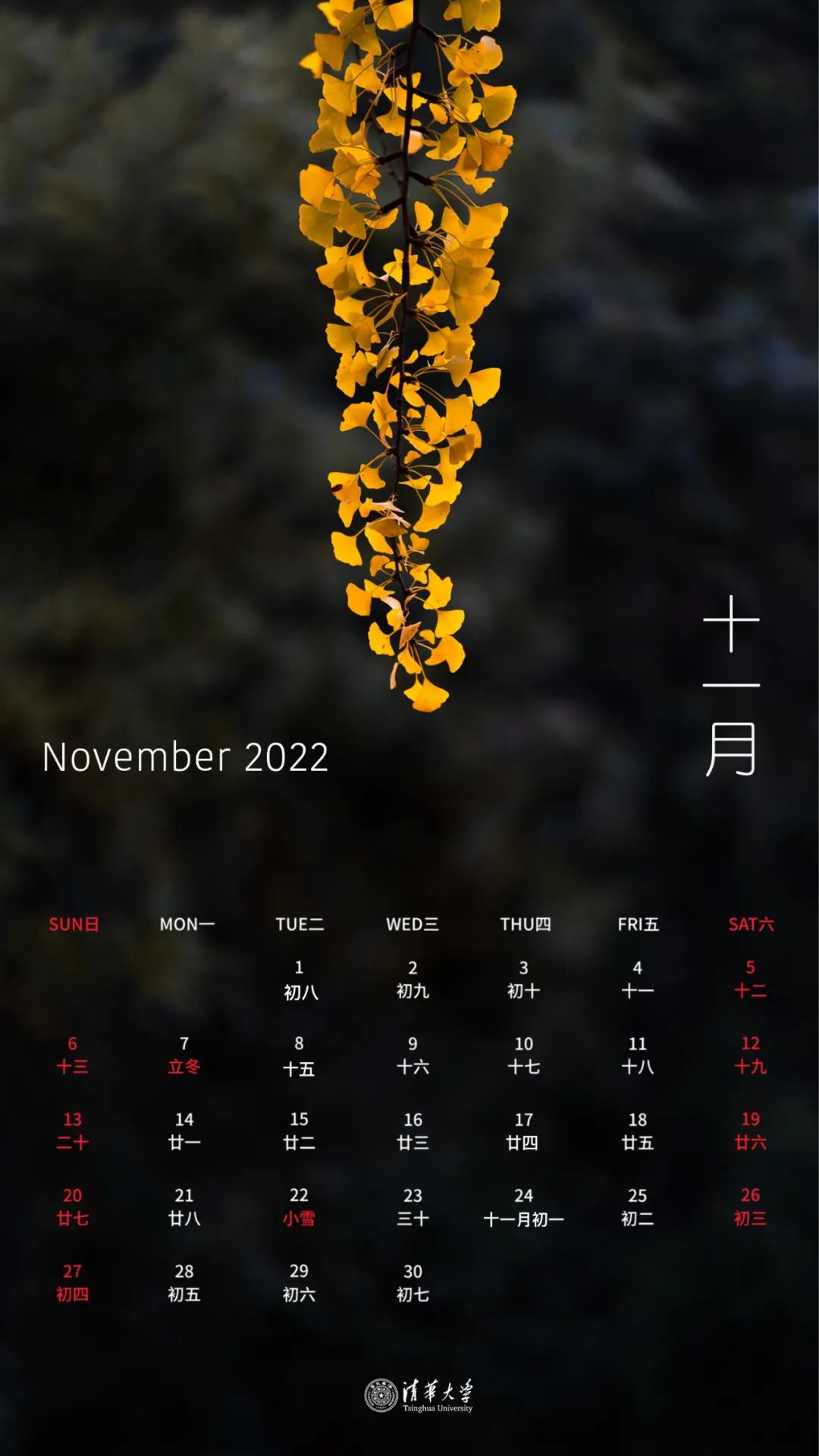 日历壁纸高清全屏_2022年6月份日历桌面壁纸_日历壁纸图片