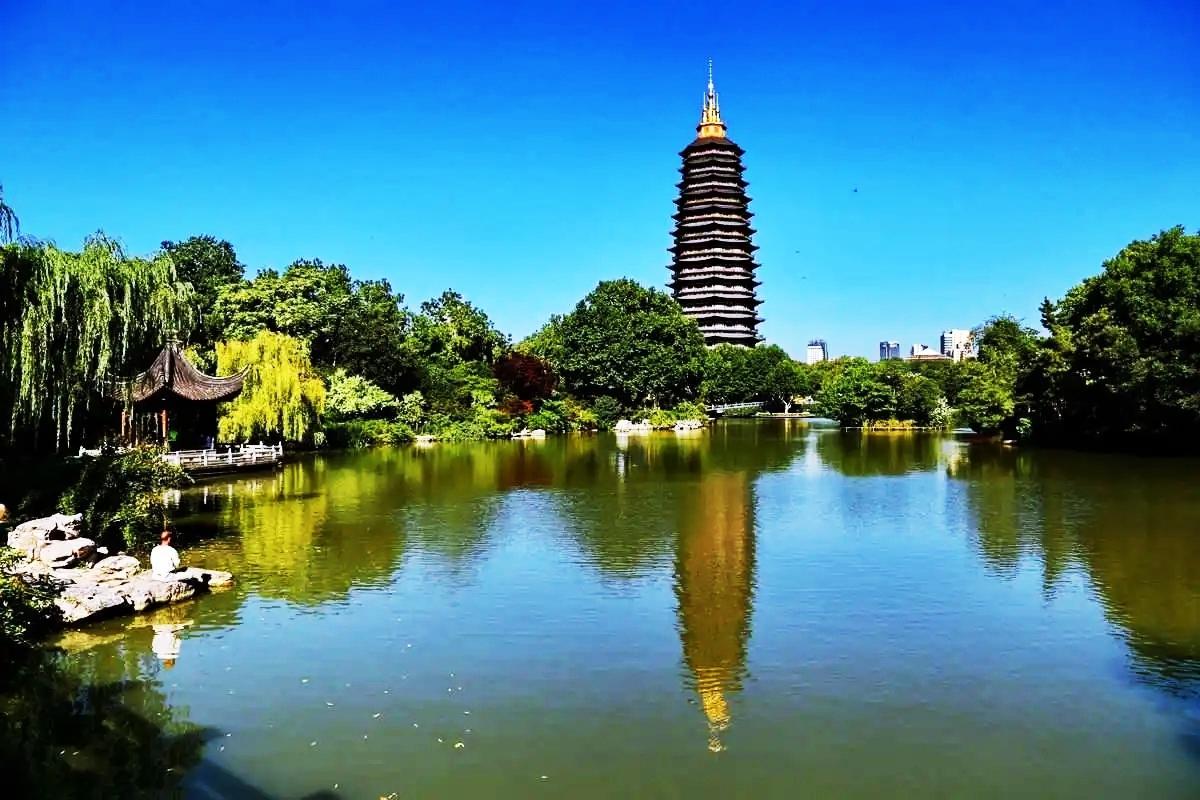 樱寒是什么意思_你给的甜风晓樱寒_寒绯樱