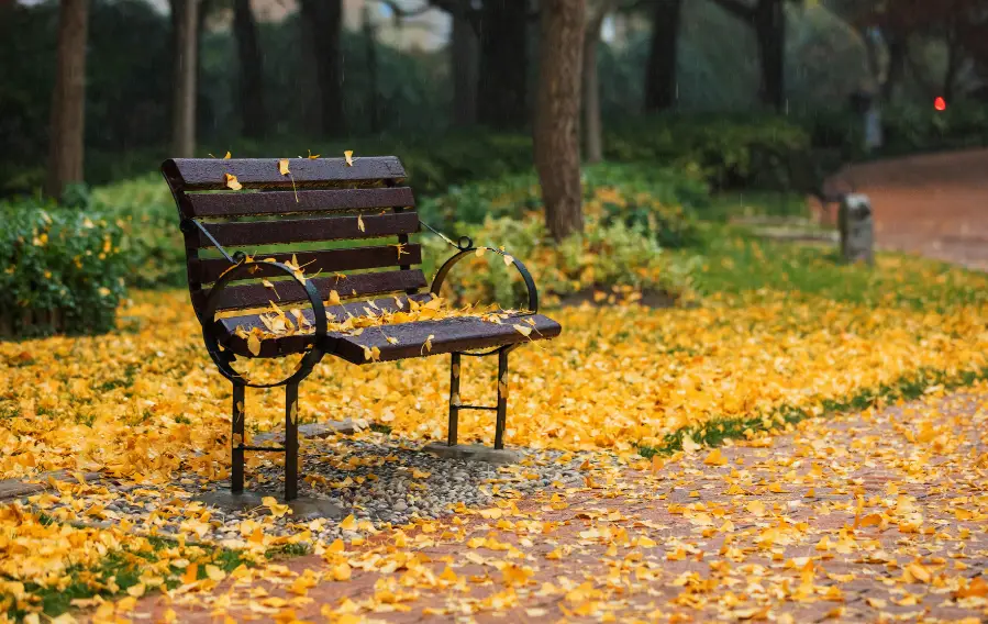 白玉楼什么意思_白玉楼_白玉楼挂画