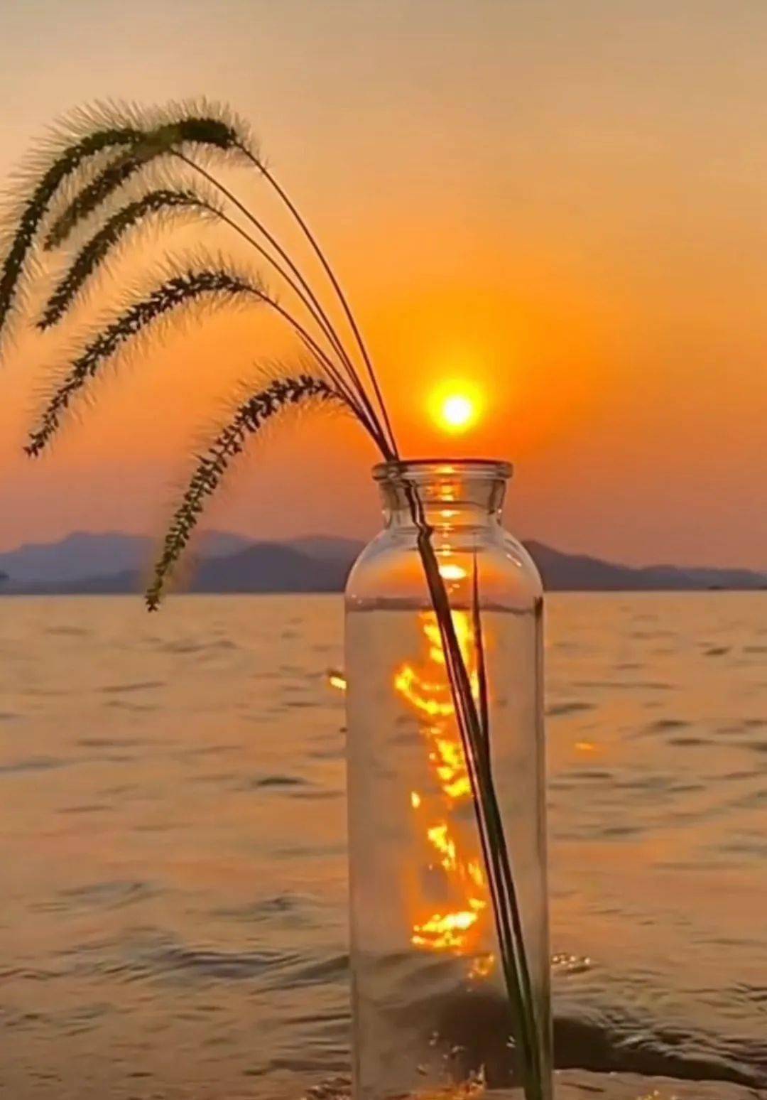 白玉楼_白玉楼挂画_白玉楼什么意思