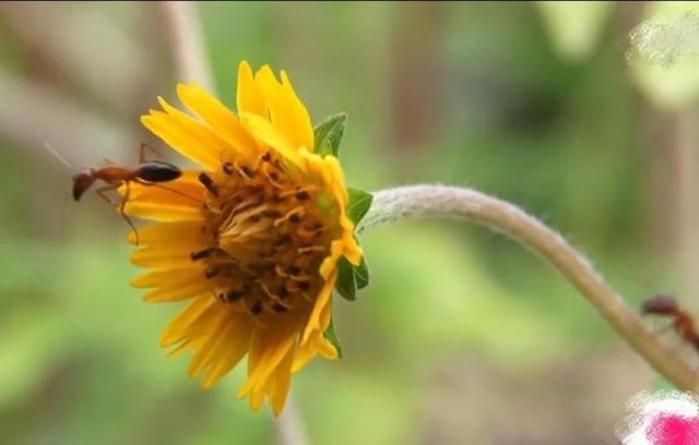 企鹅号播放量10万给多少钱_企鹅号播放量怎么算钱_企鹅号播放量能赚钱吗