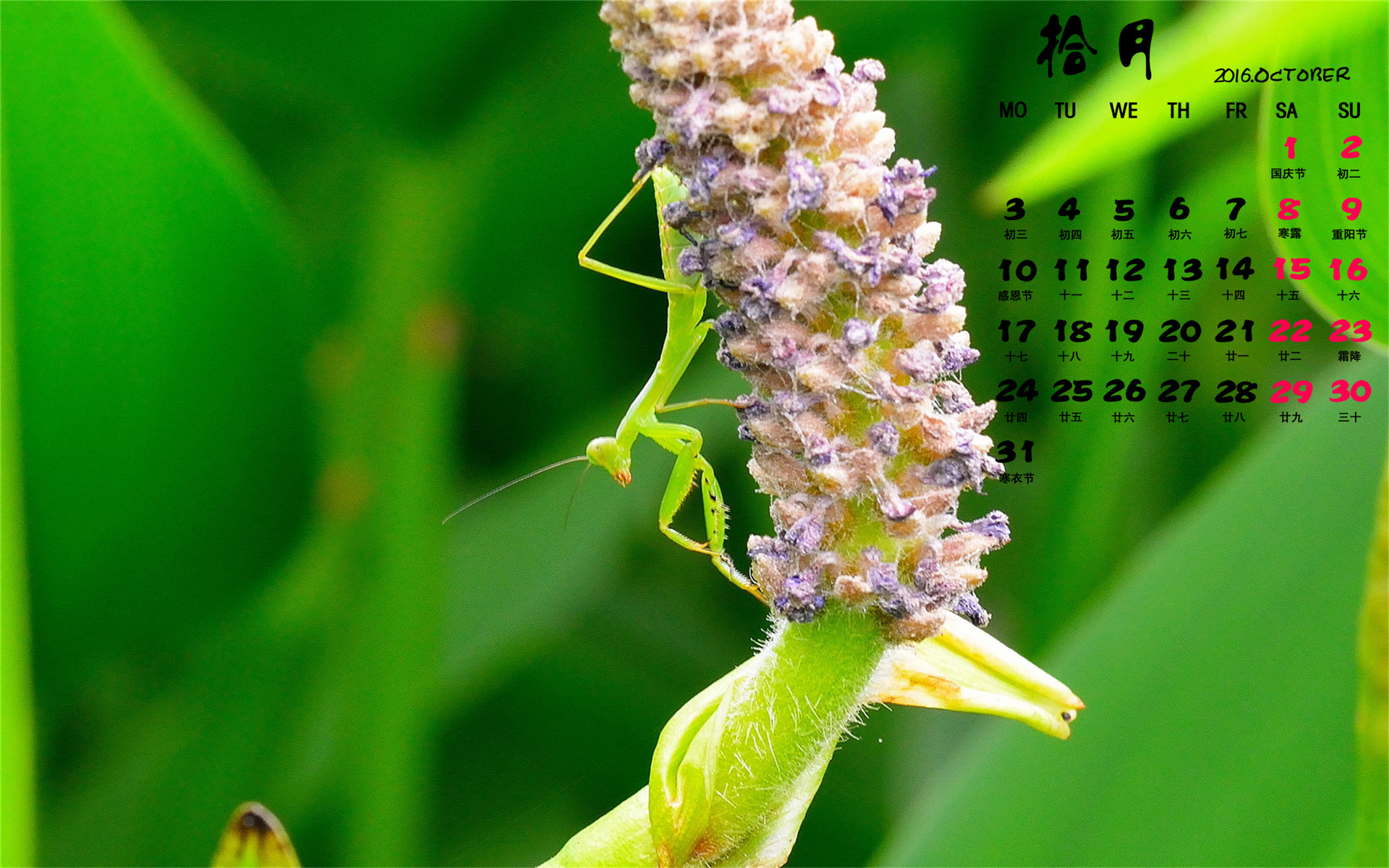 企鹅号播放量怎么算钱_企鹅号播放量能赚钱吗_企鹅号播放量10万给多少钱