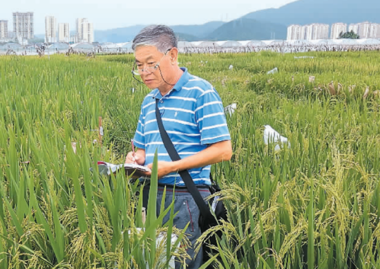 泽田弘树怎么知道工藤新一_泽田弘树_弘树什么意思