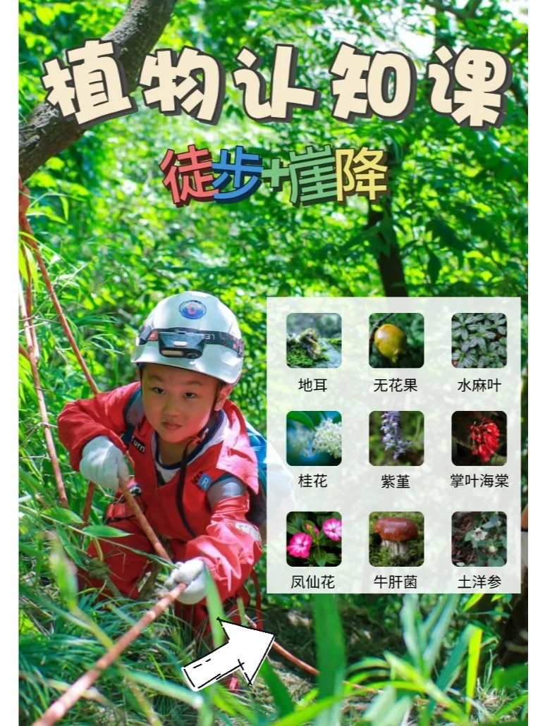 认知厨_认知厨_认知厨