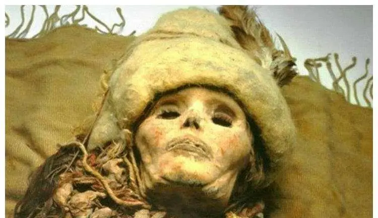 消失女人的诅咒_消失女人电视剧剧情介绍_消失的女人