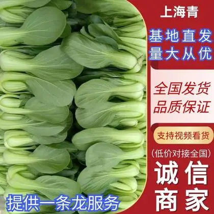 货车帮官方下载_下载货车帮找货平台_货车帮app货主版下载