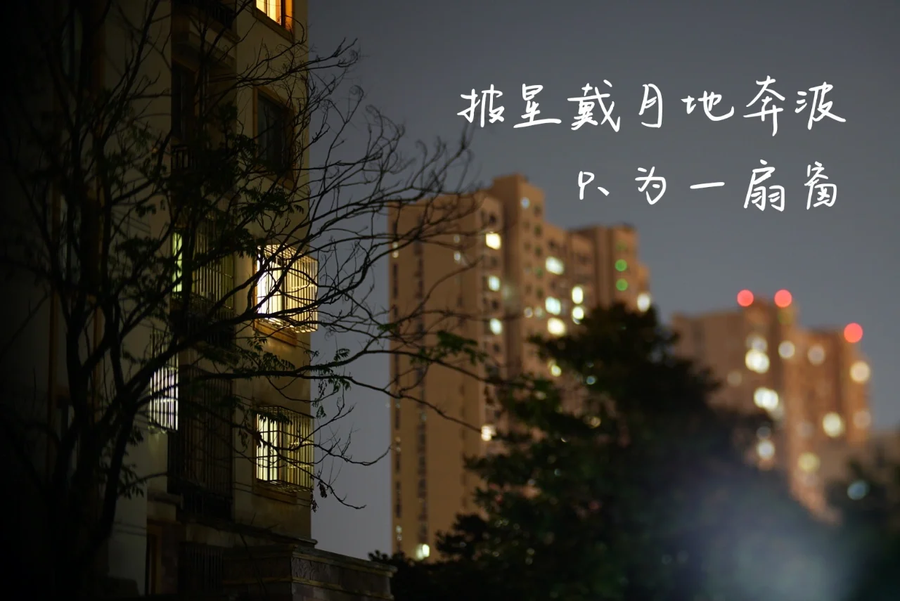 帕瓦罗蒂_帕瓦_帕瓦莱斯智能科技有限公司