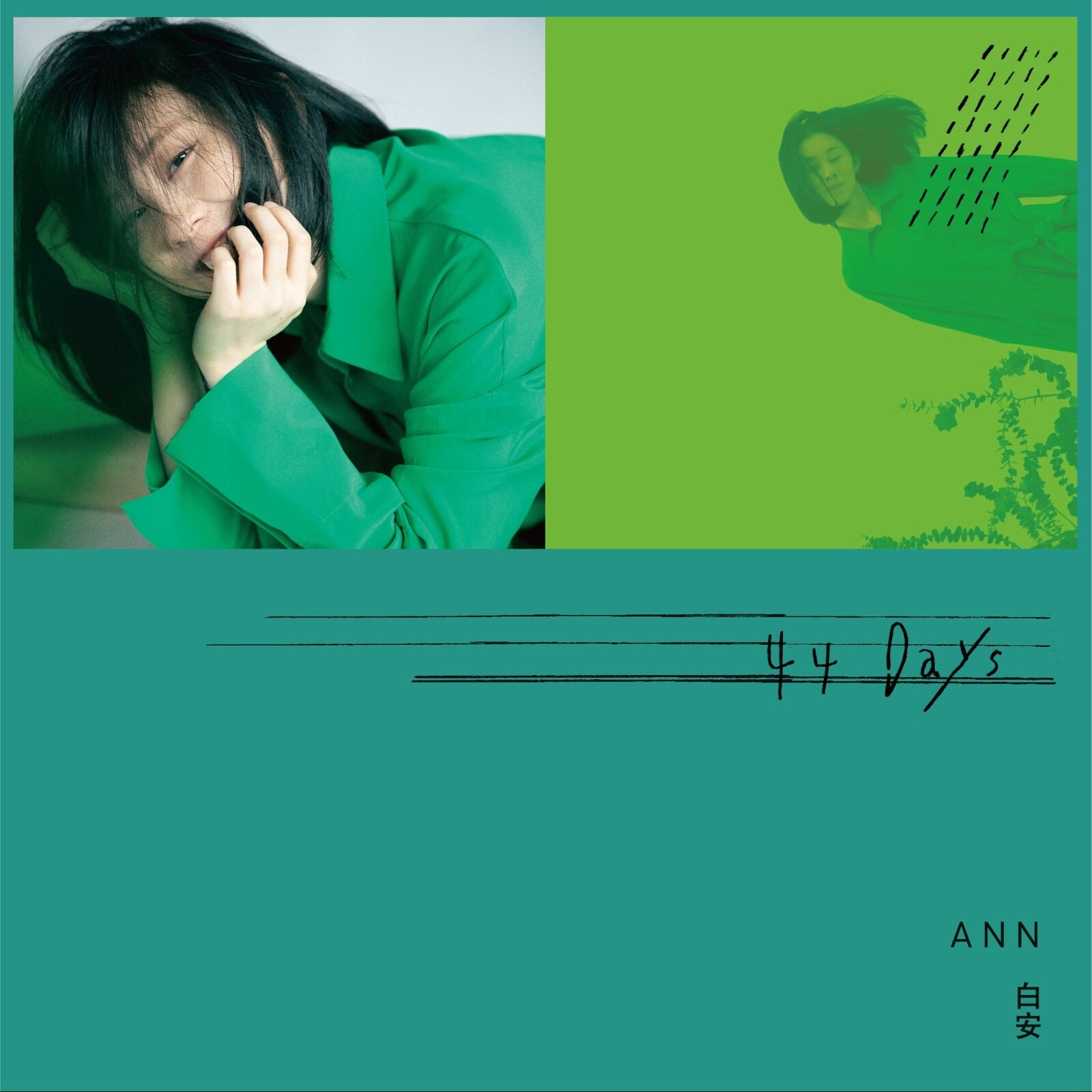 白色封面的专辑_专辑白标是什么意思_白色专辑