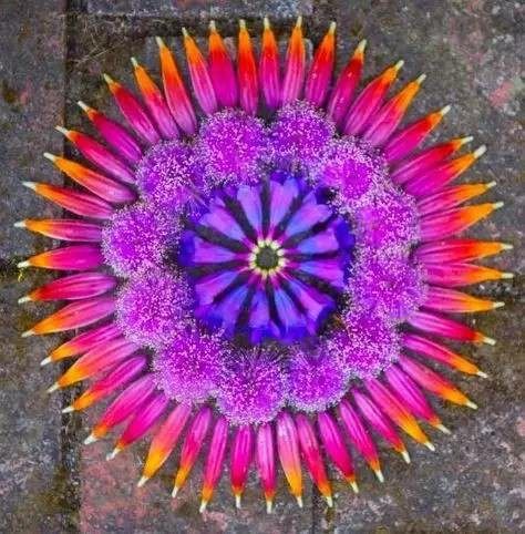 懒懒_懒懒散散_懒懒小兽妃全文免费阅读