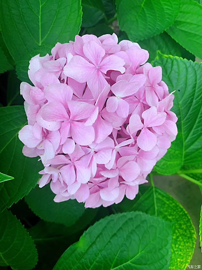 懒懒散散_懒懒_懒懒小兽妃全文免费阅读