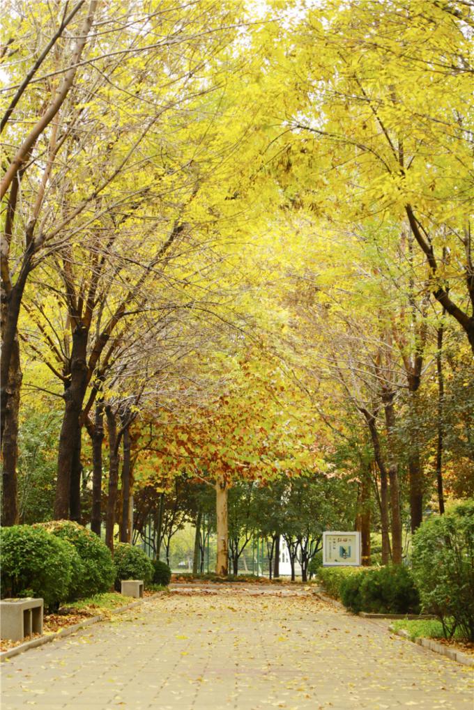 渡边弘光采访_渡边弘光_渡边弘光后代