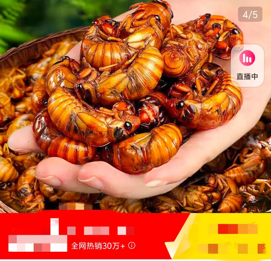 鸭子对战游戏_愤怒的鸭子手机游戏版_那个鸭子的游戏叫什么