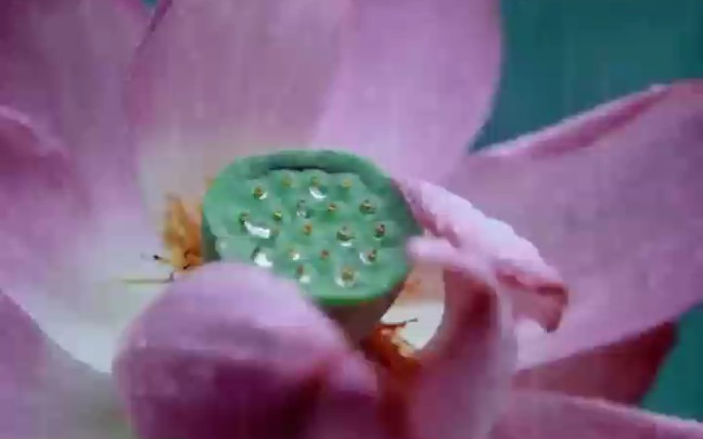 中国旅游年主题宣传活动_中国旅游日主题活动_中国旅游日主题