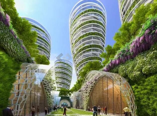 什么手机游戏可以鞭尸_鞭尸的手机游戏_用鞭子的fc游戏主角