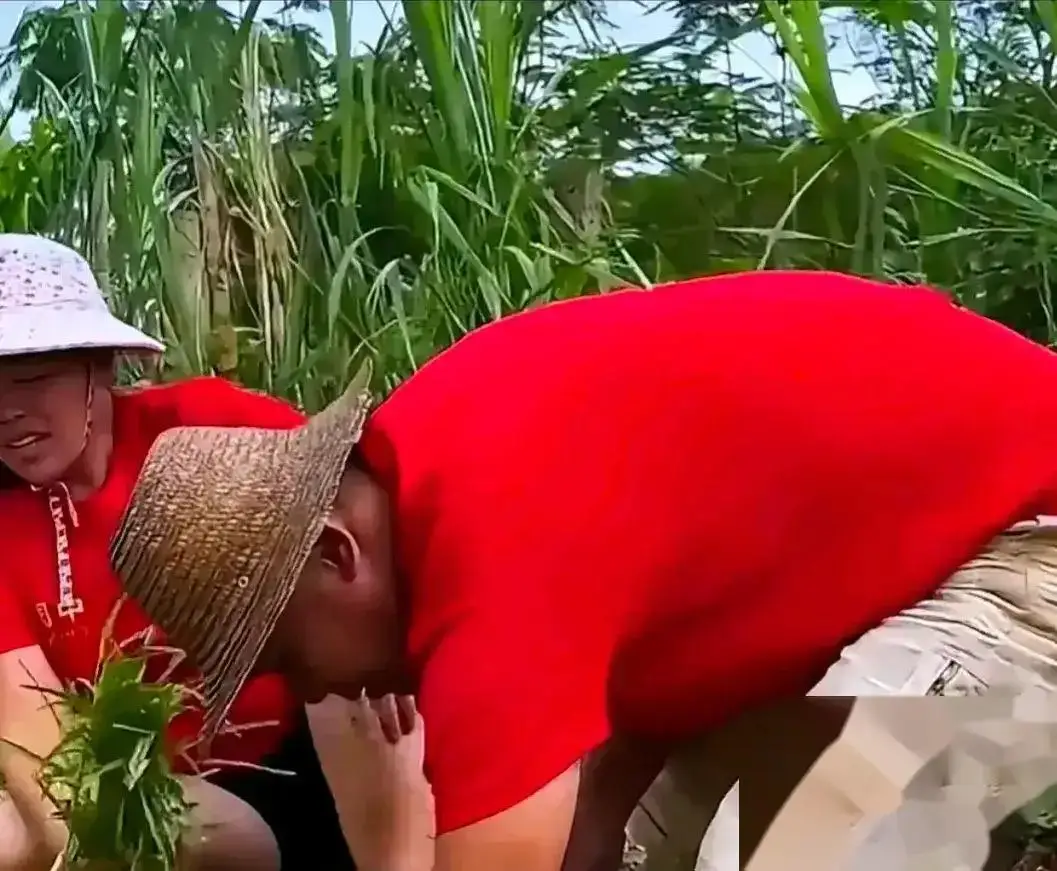 抖音粉丝灯牌是干什么的_抖音粉丝灯牌级别价格表_抖音粉丝灯牌升级表