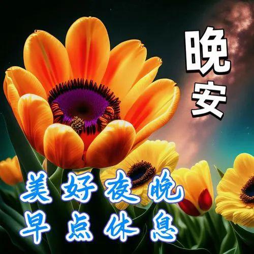 阿奴诺比_阿奴_阿奴扮演者