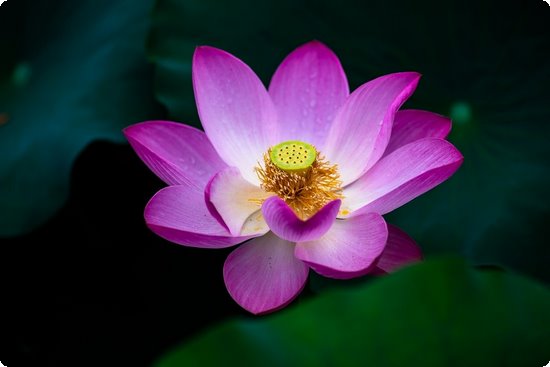 手柄手机游戏有哪些好玩的_PPC手机游戏手柄_手柄手机游戏有哪些