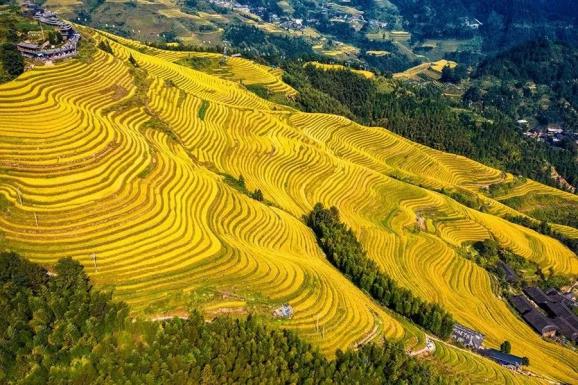 田角陆_田角陆_田角陆