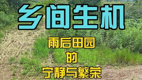 田角陆_田角陆_田角陆