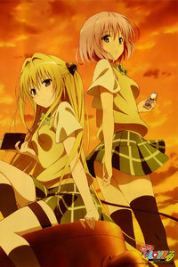 樱花女王什么意思_樱花包包_出包王女樱花