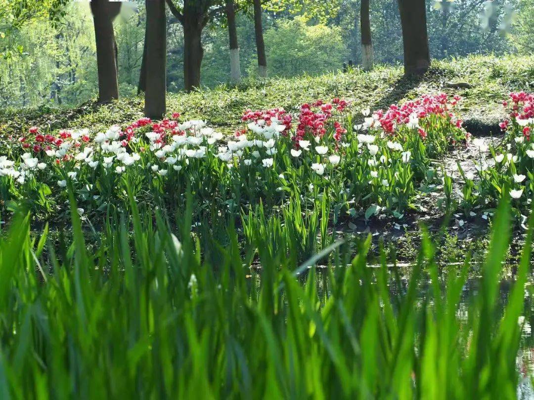 玩游戏一秒一卡怎么办_打游戏秒了是什么意思_打游戏时手机卡了几秒