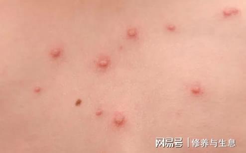 手机乐园游戏_病变手机游戏_手机赛车游戏