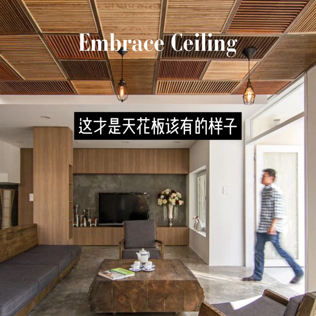 节操社指的是哪一个动漫公司_无节操部_节操社指的是哪一个