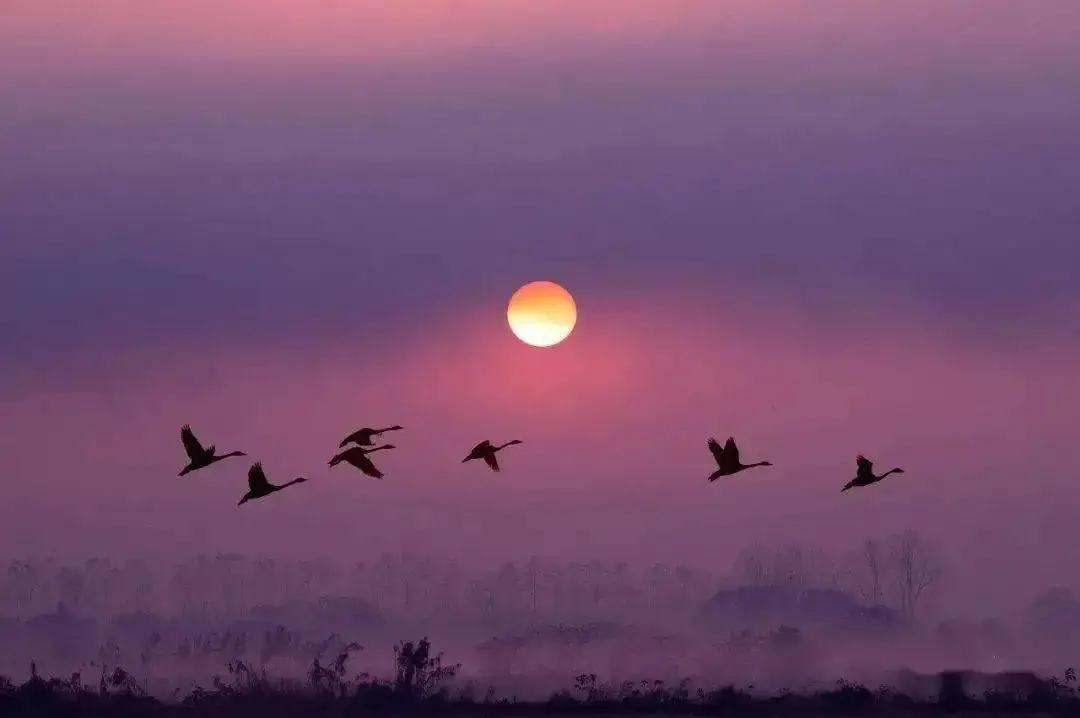 烽火三国1下载_烽火三国1中文单机手机版_烽火三国游戏下载手机版