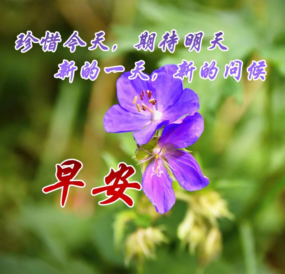 我的美好婚事_美好婚礼文案_美好婚礼的句子
